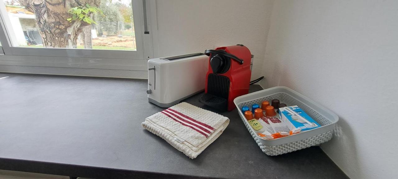 Pet-friendly Apartment Cordoba